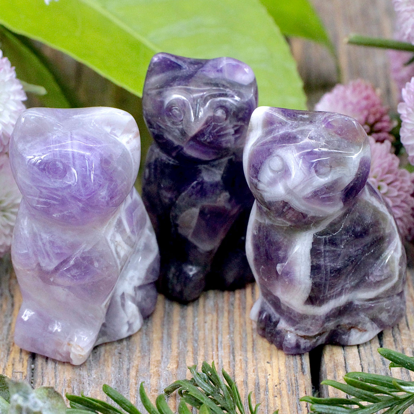 Chevron Amethyst Cat