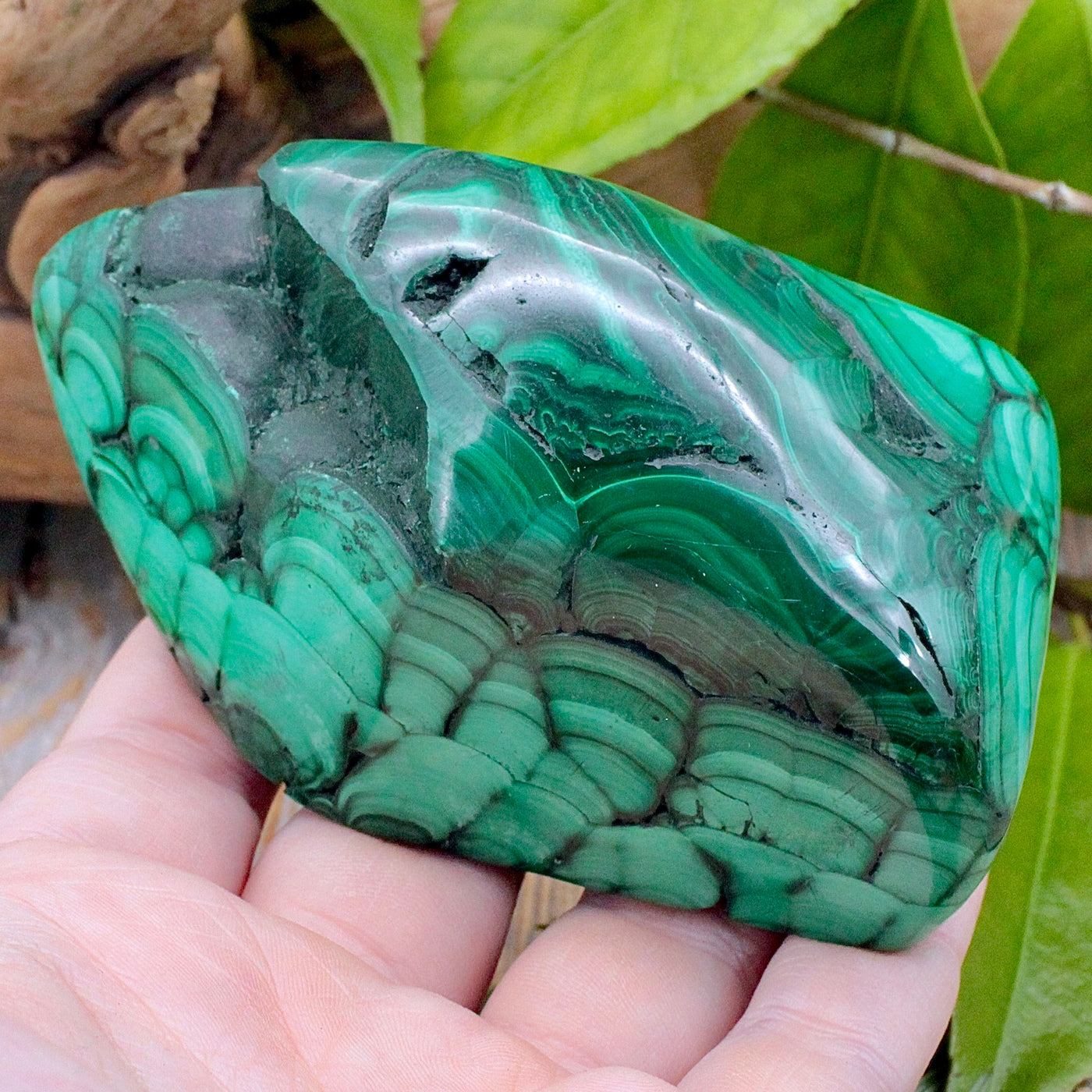 Malachite Freeform