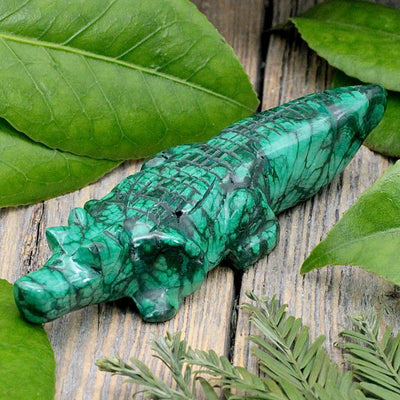 Malachite Alligator