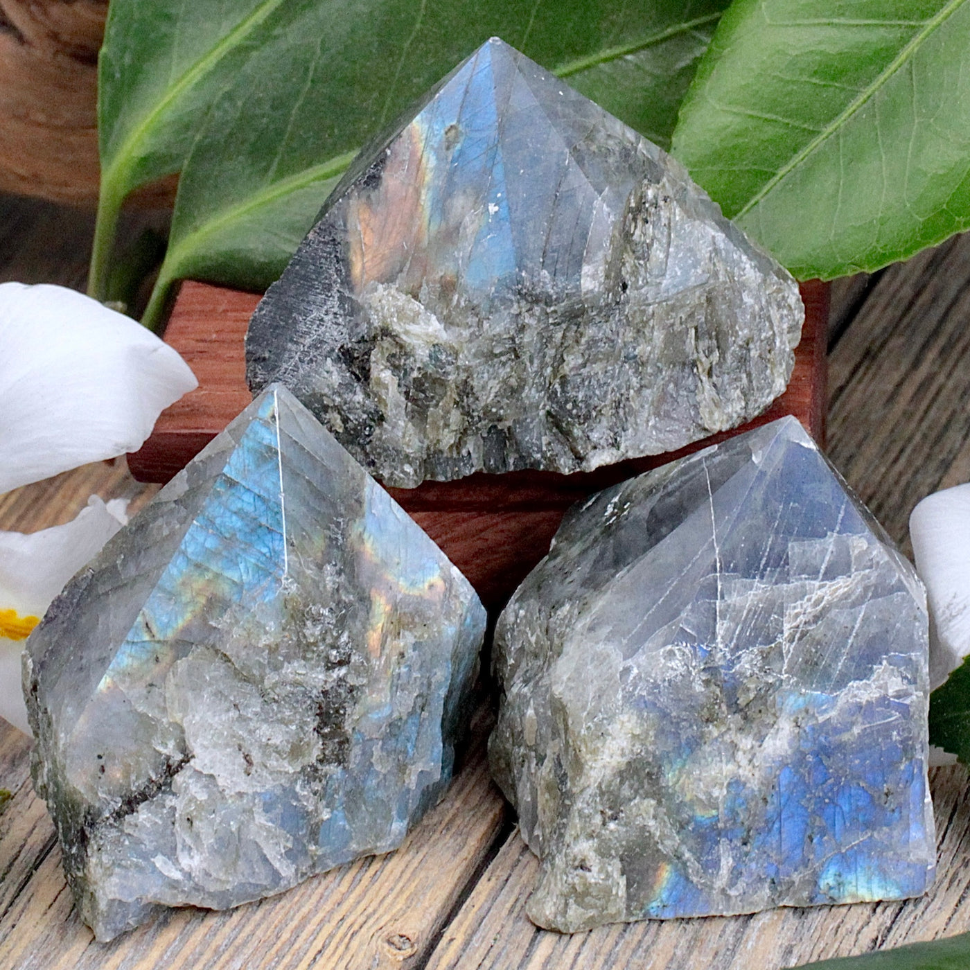 Labradorite Power Point