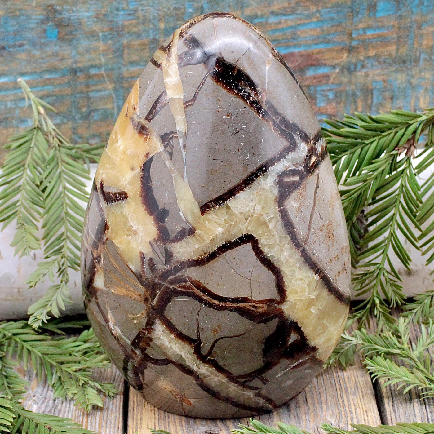 Septarian Freeform