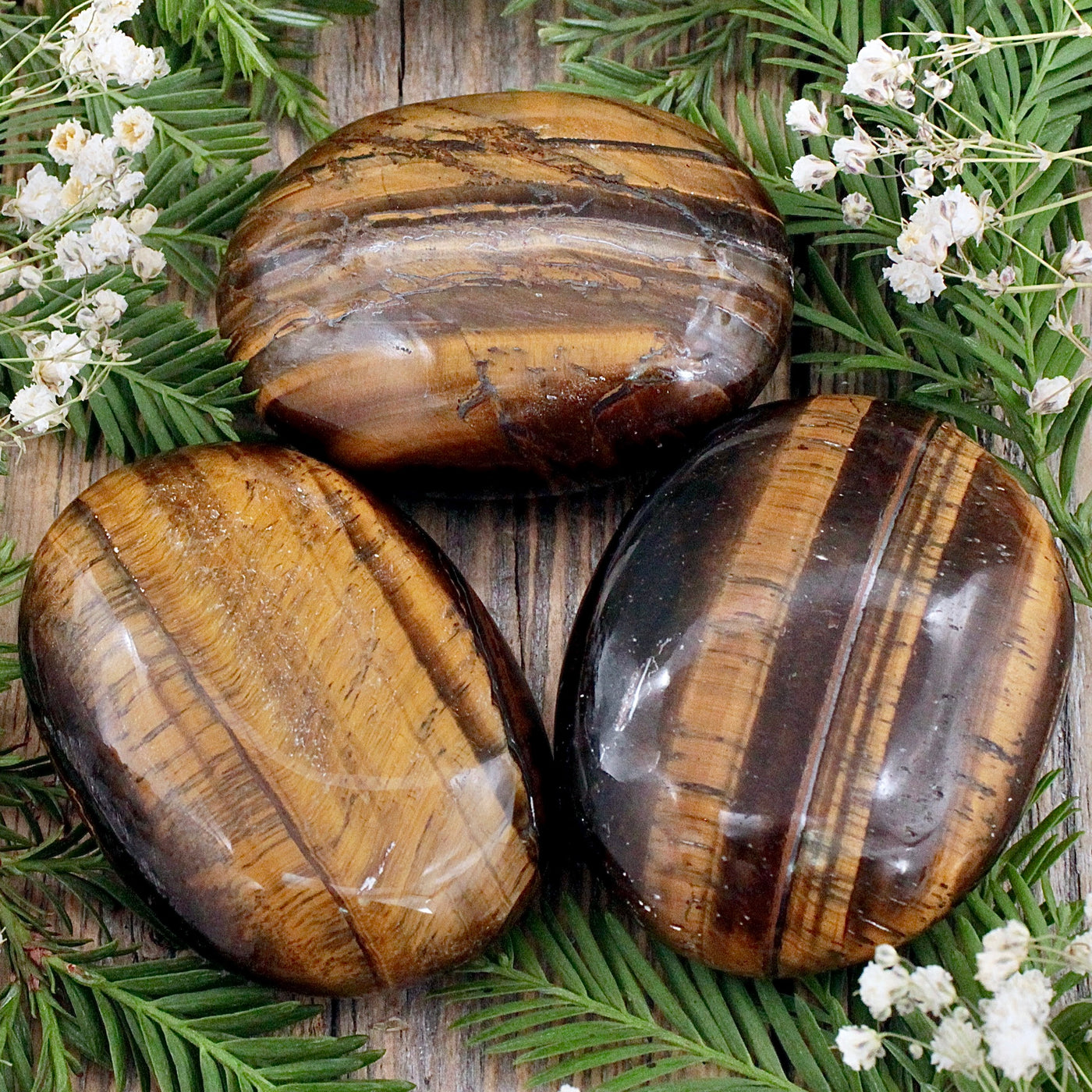 Tiger's Eye Palm Stone