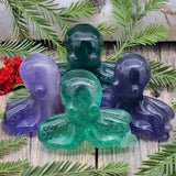 Fluorite Octopus