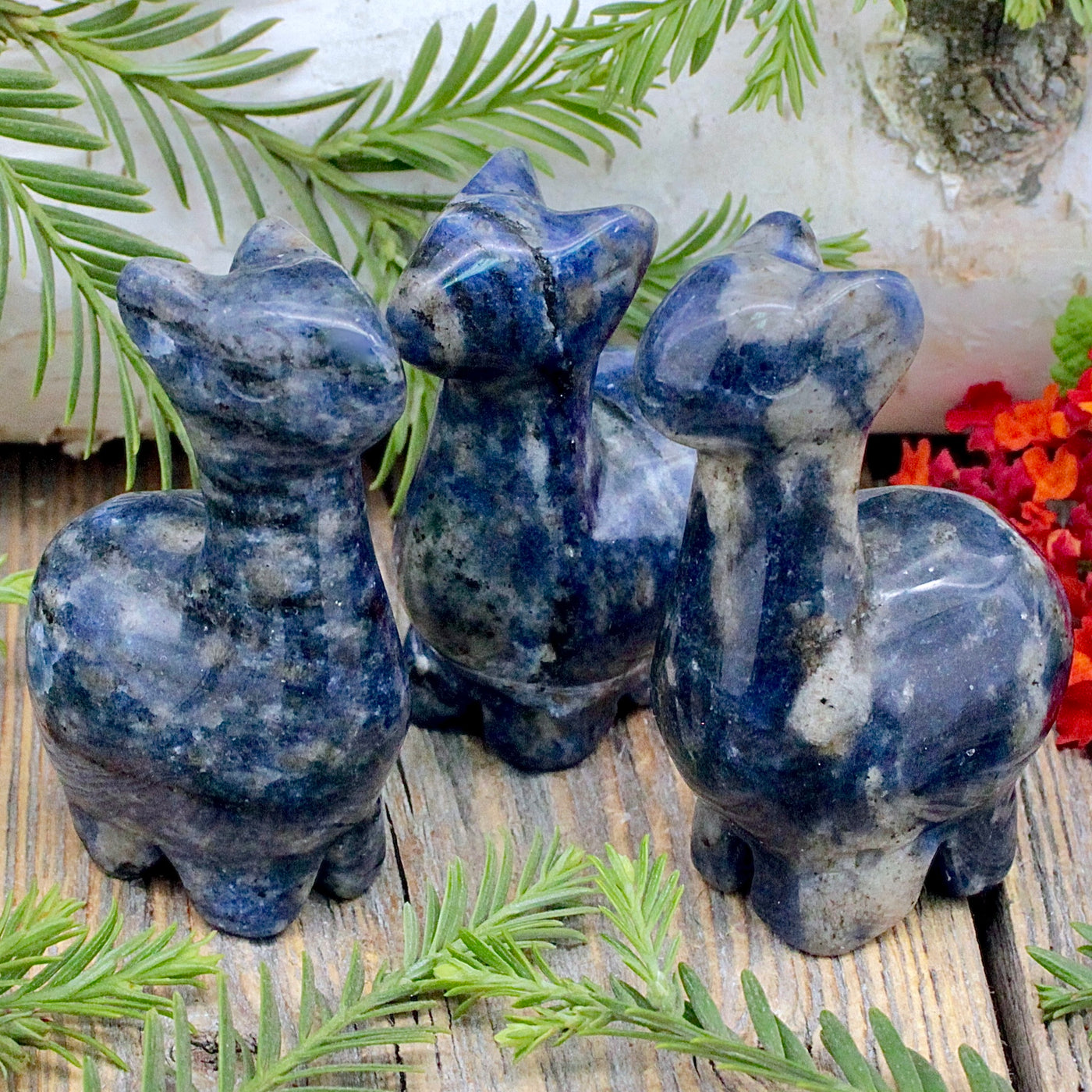 Sodalite Llama