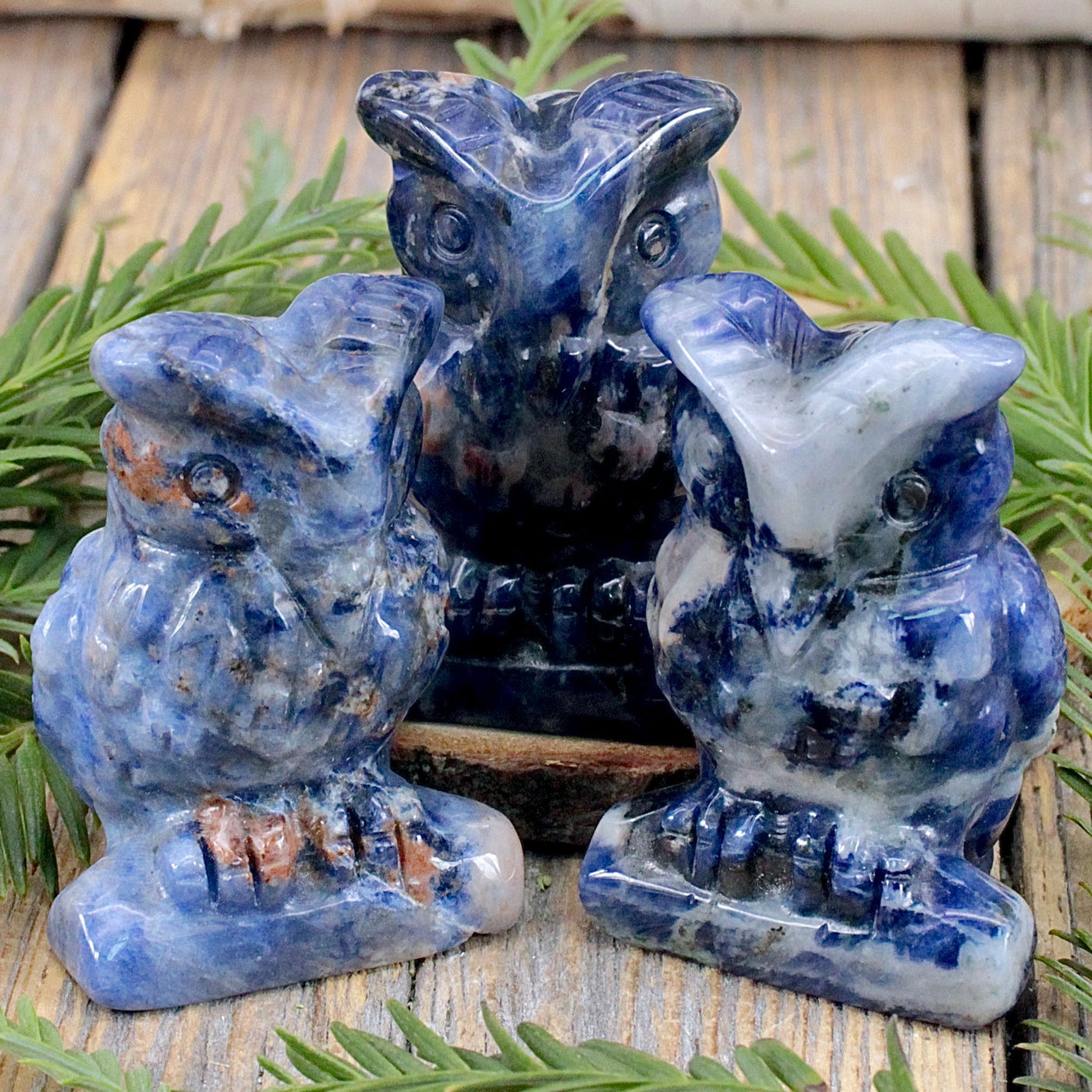 Sodalite Owl