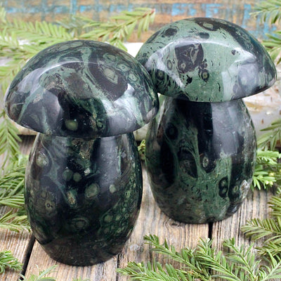 Kambaba Jasper Mushroom