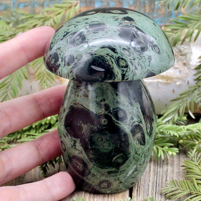 Kambaba Jasper Mushroom