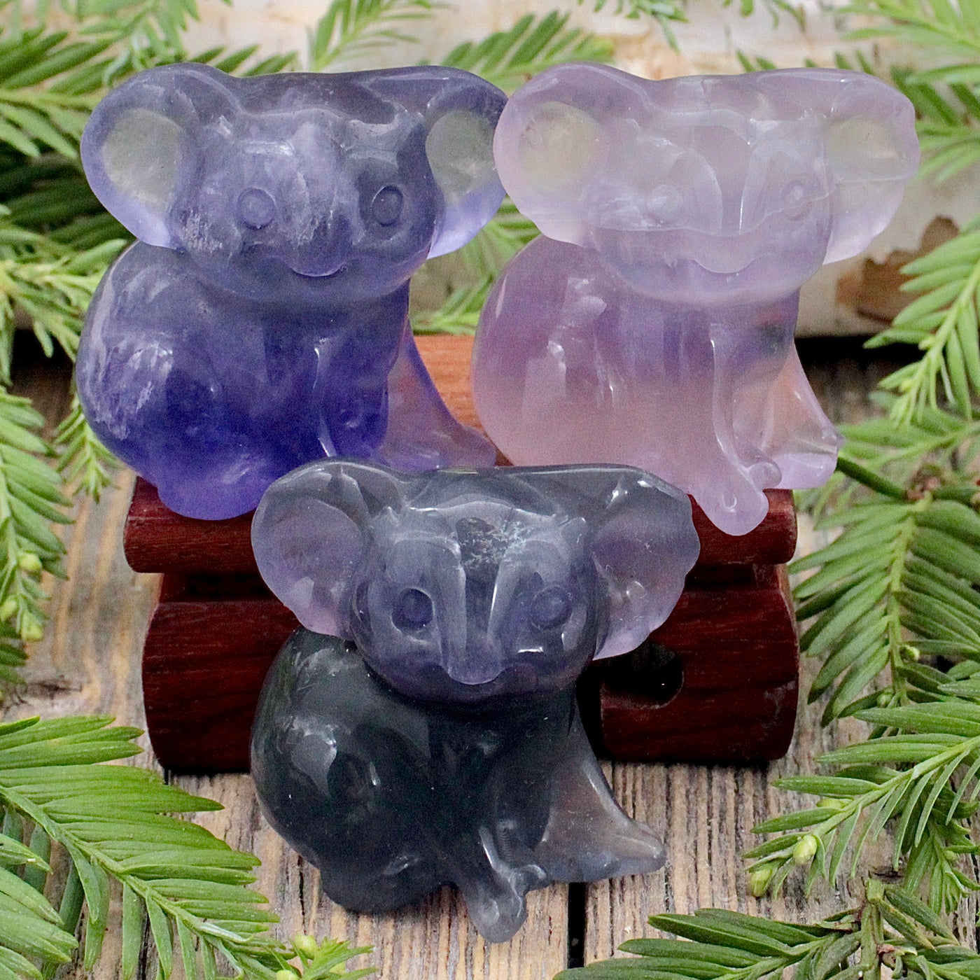 Fluorite Koala