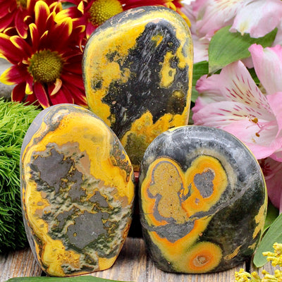 Bumblebee Jasper Freeform