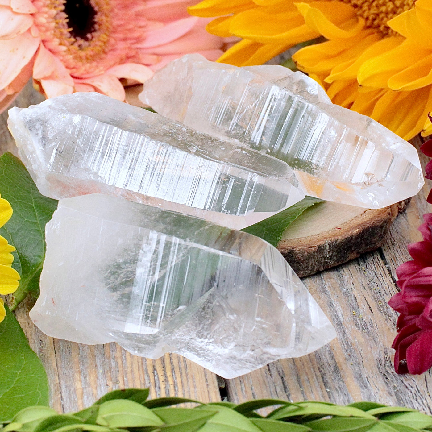 Lemurian Quartz Point