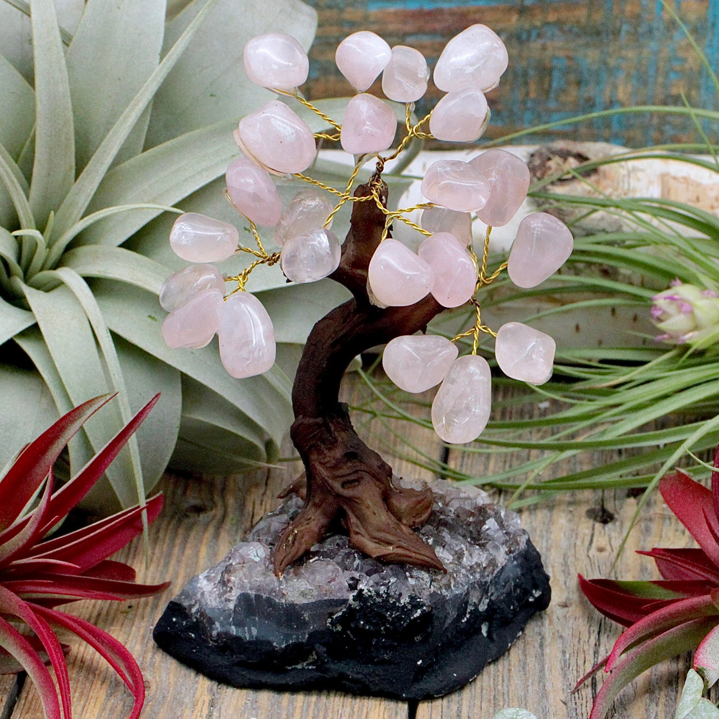 Rose Quartz Crystal Tree on Amethyst Cluster Base