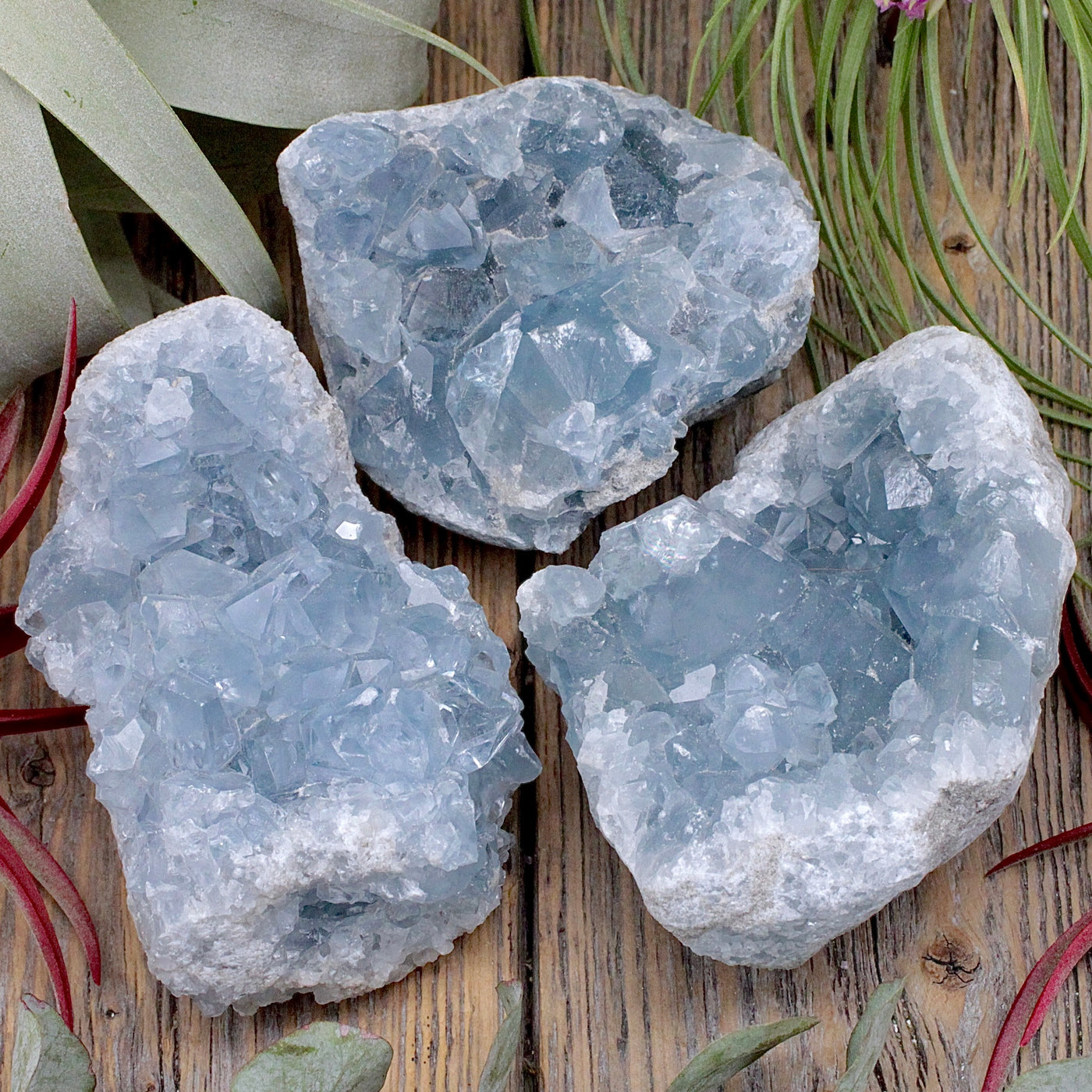 Celestite Cluster