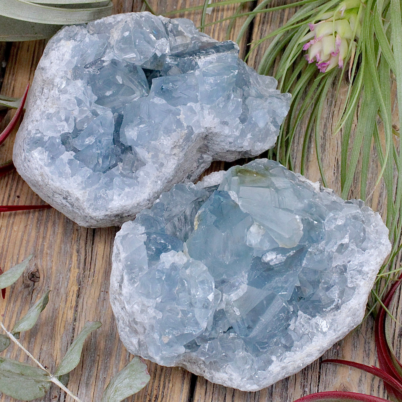 Celestite Cluster