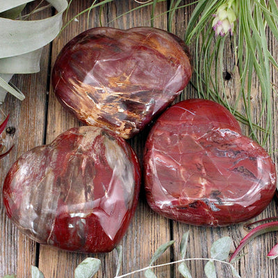 Petrified Wood Heart