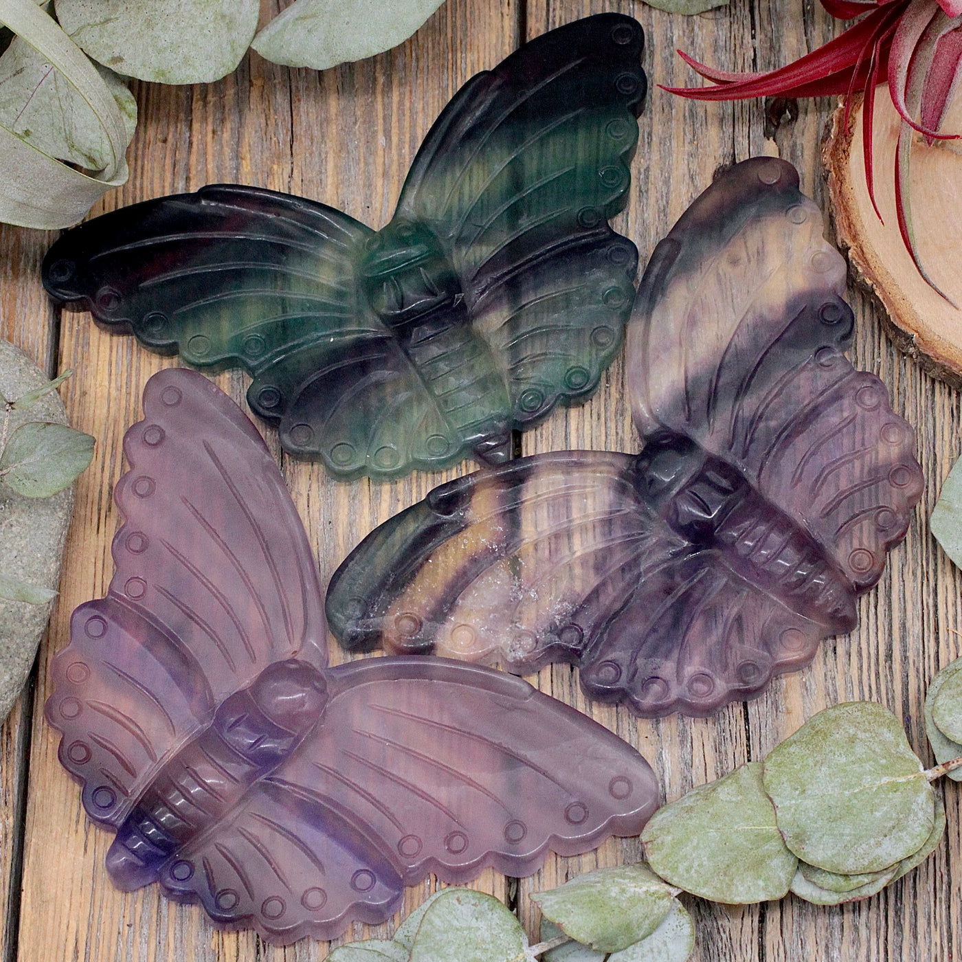 Fluorite Butterfly