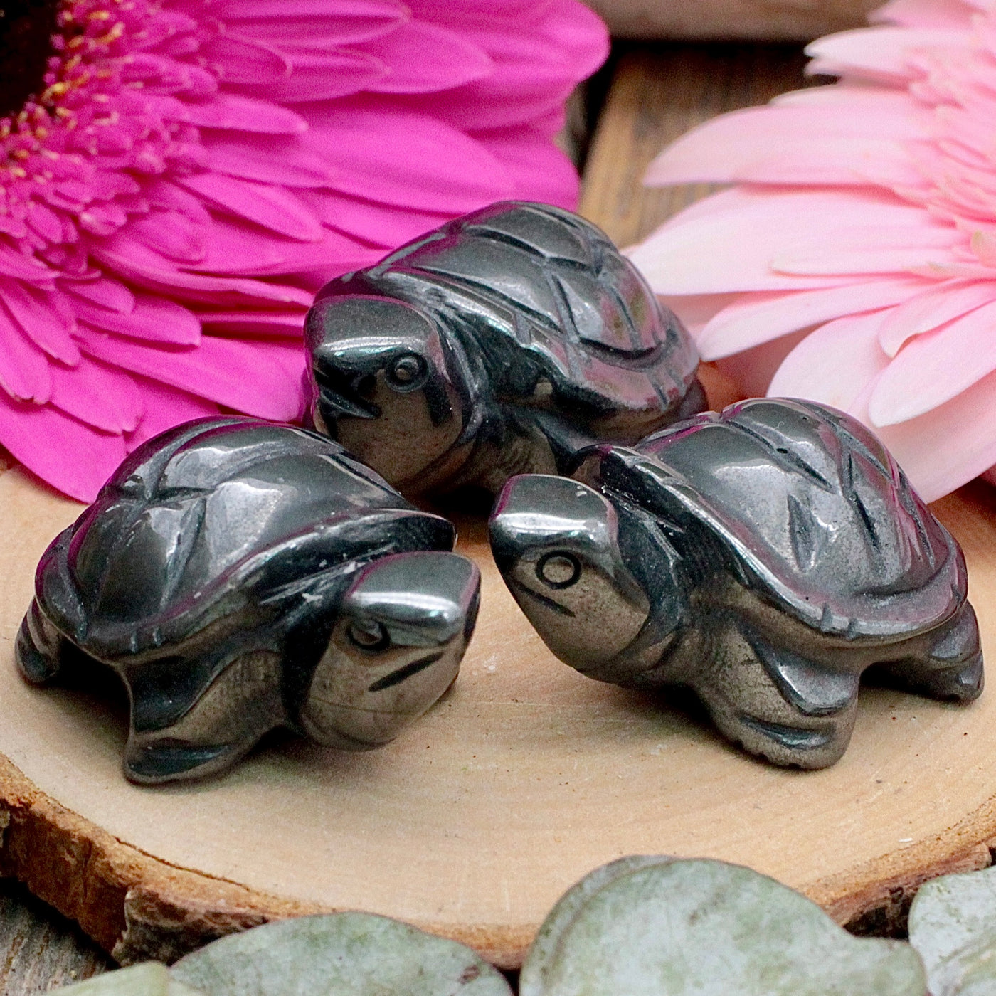 Hematite Turtle