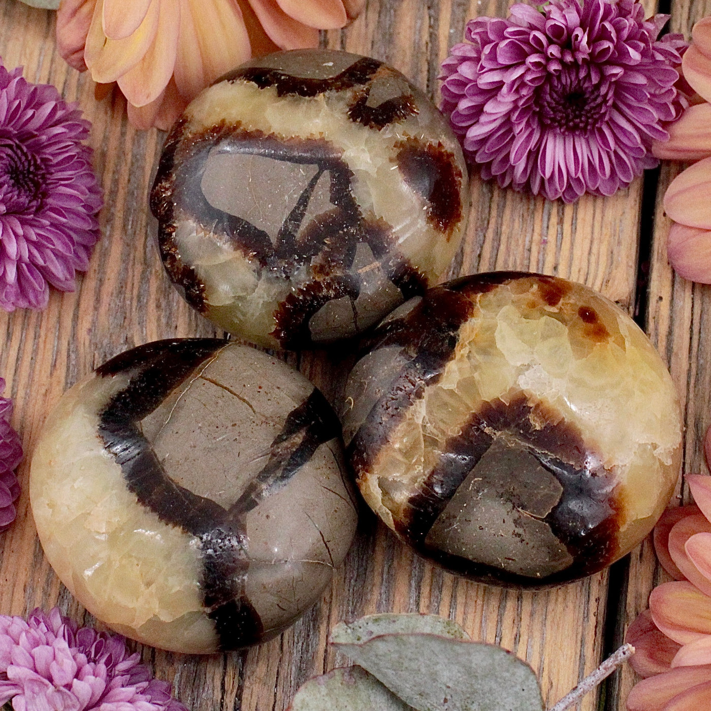 Septarian Pebble
