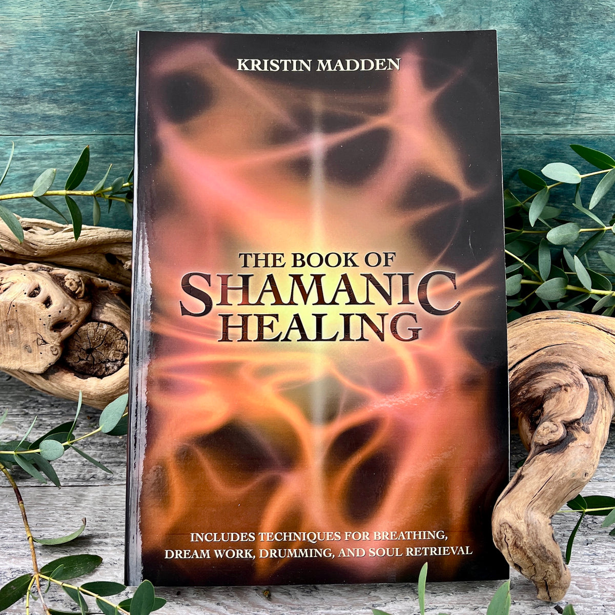 The Book of Shamanic Healing