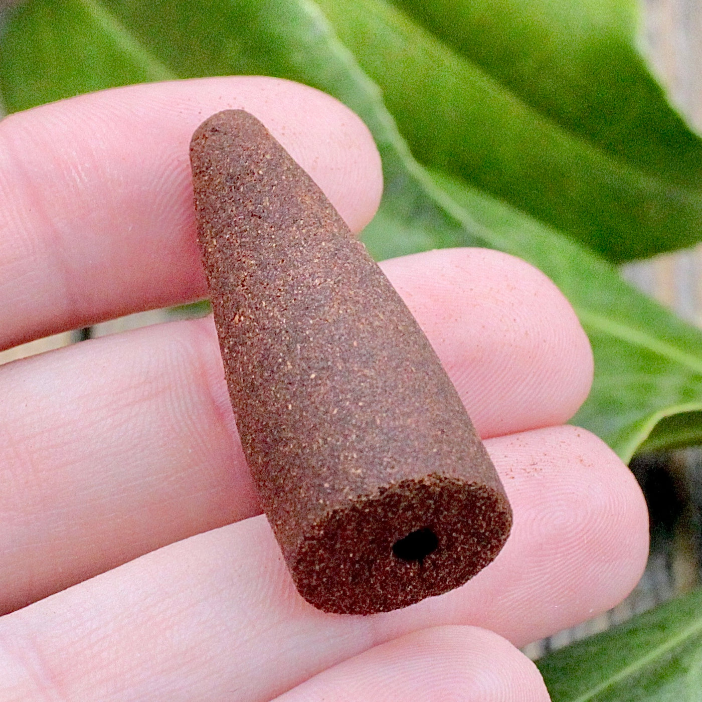 Goloka Backflow Incense Cone - Palo Santo