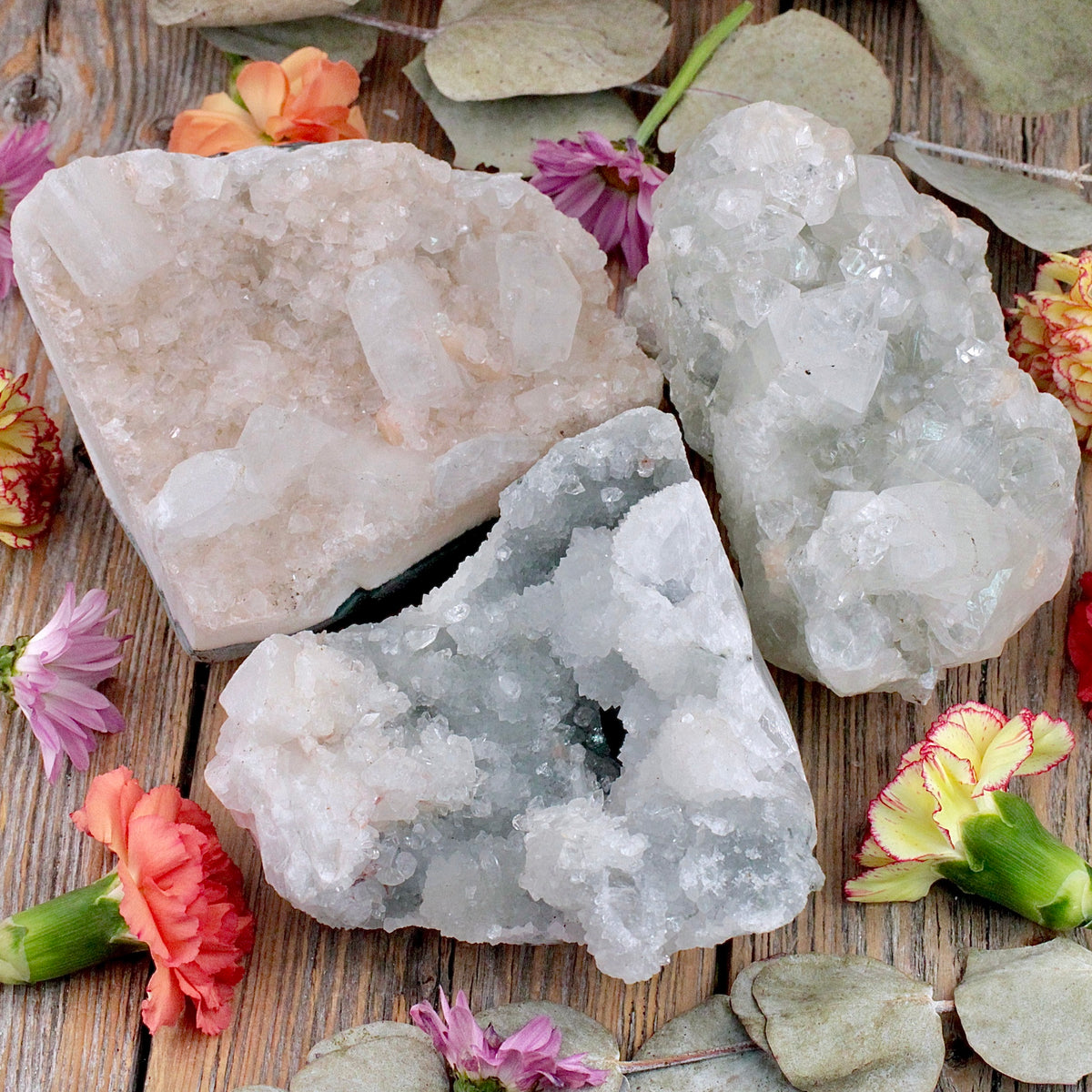 Apophyllite Cluster