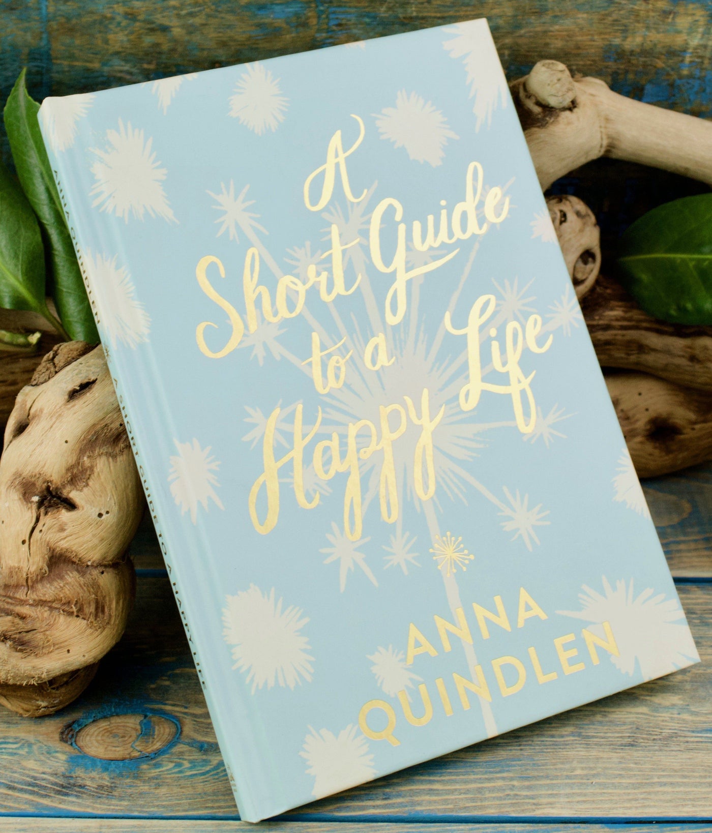 A Short Guide to a Happy Life