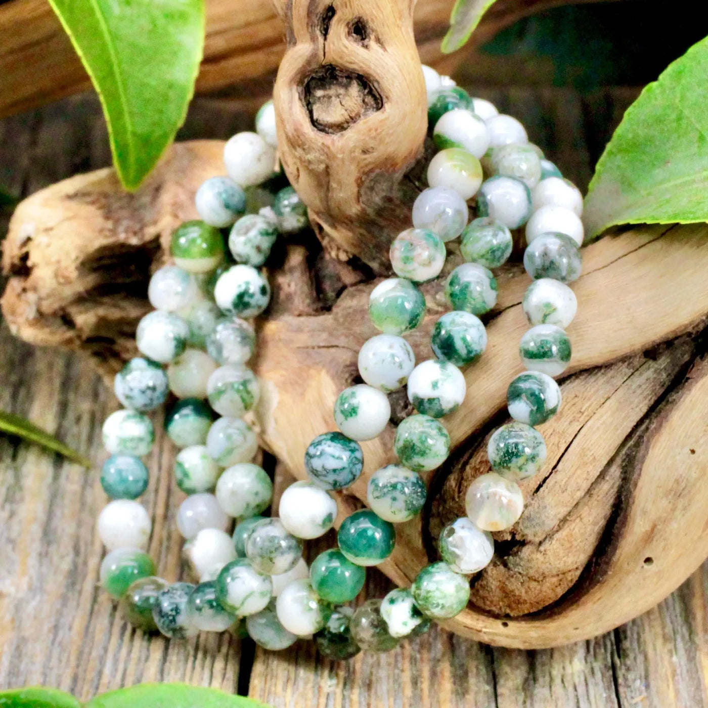 Tree Agate Bracelet