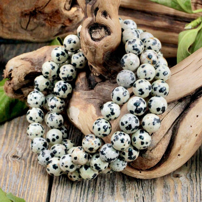 Dalmatian Jasper Bracelet - 8mm