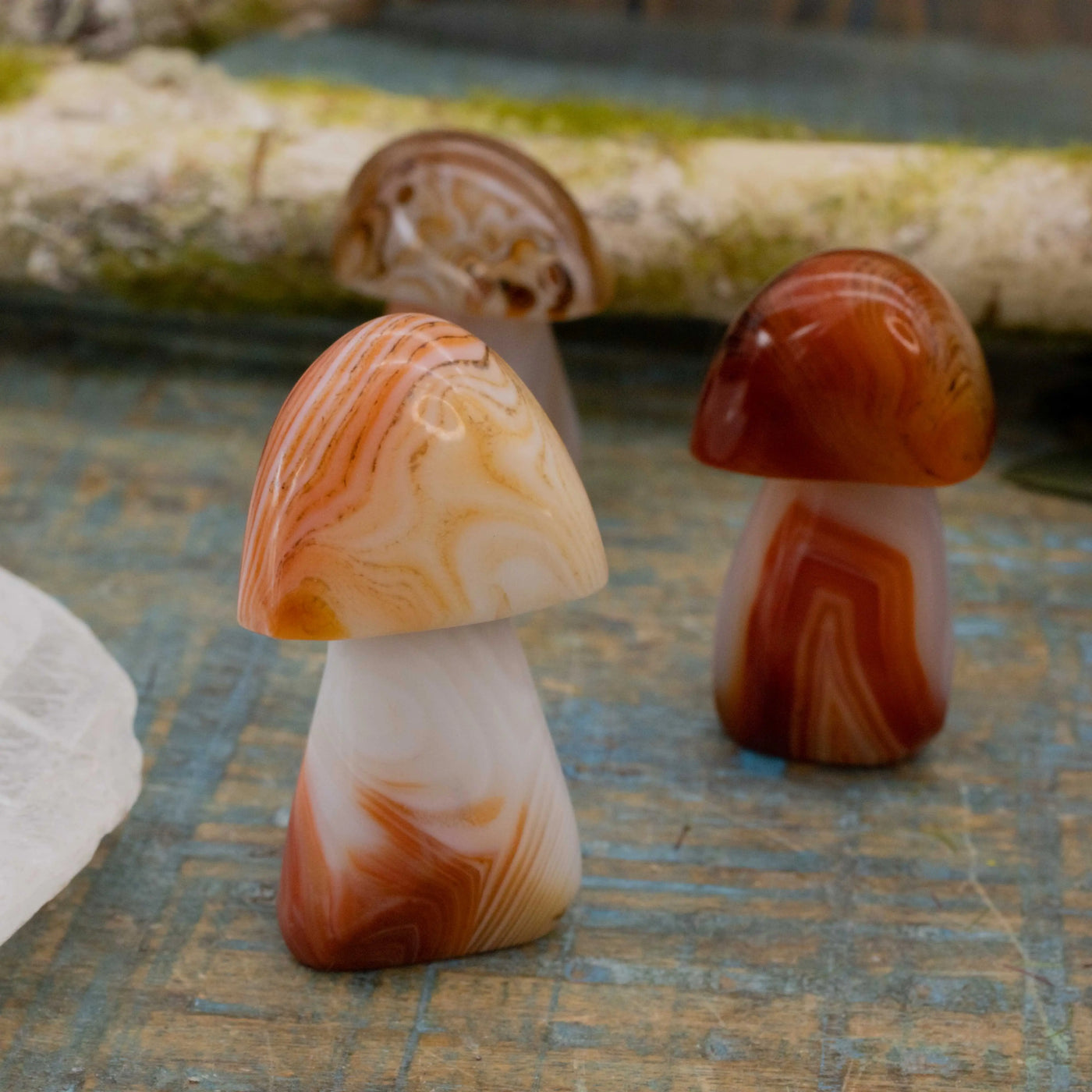 Agate Mushroom