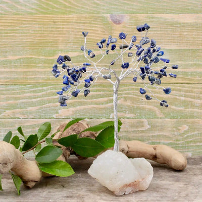 Sodalite Crystal Tree with Zeolite Base