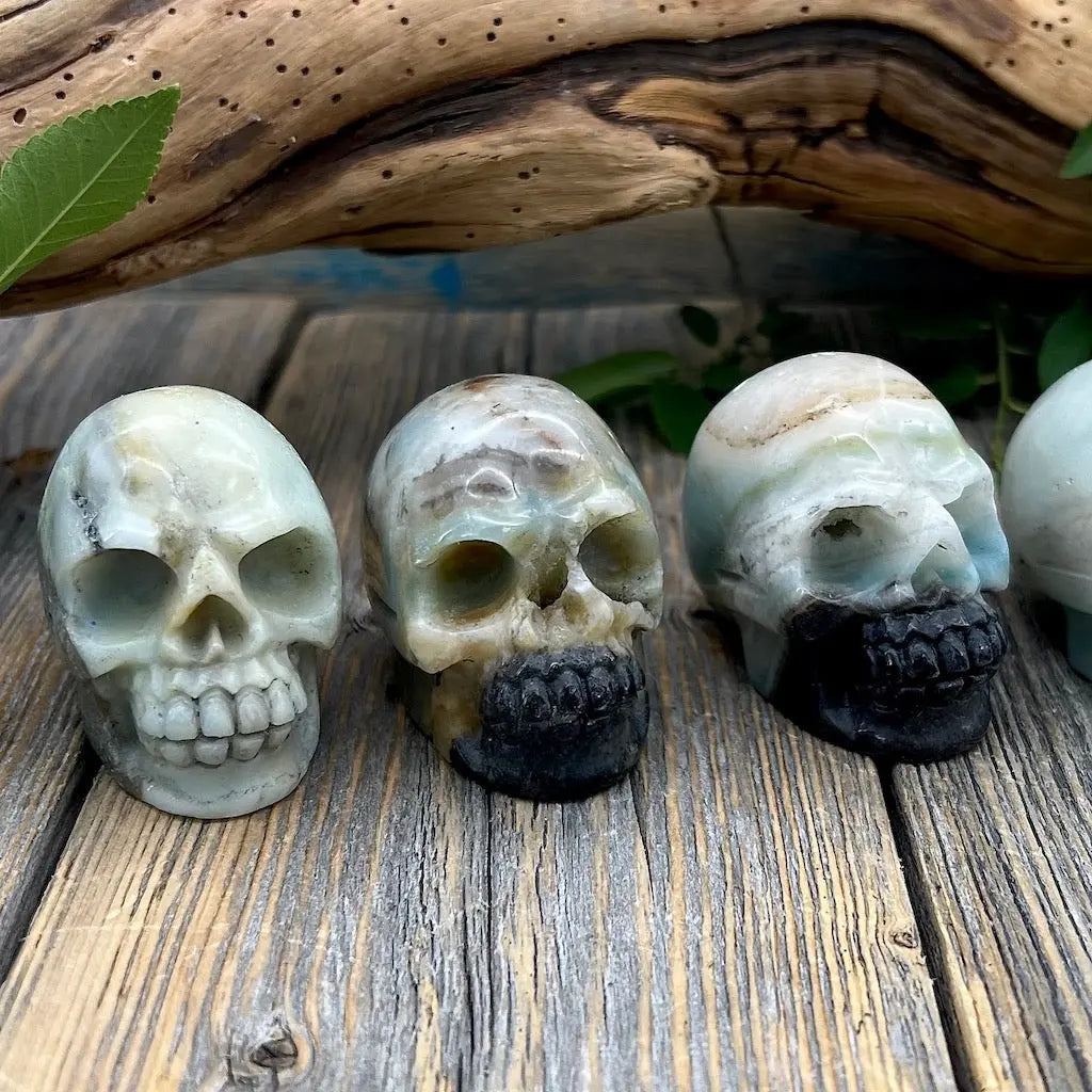 Jasper Skull