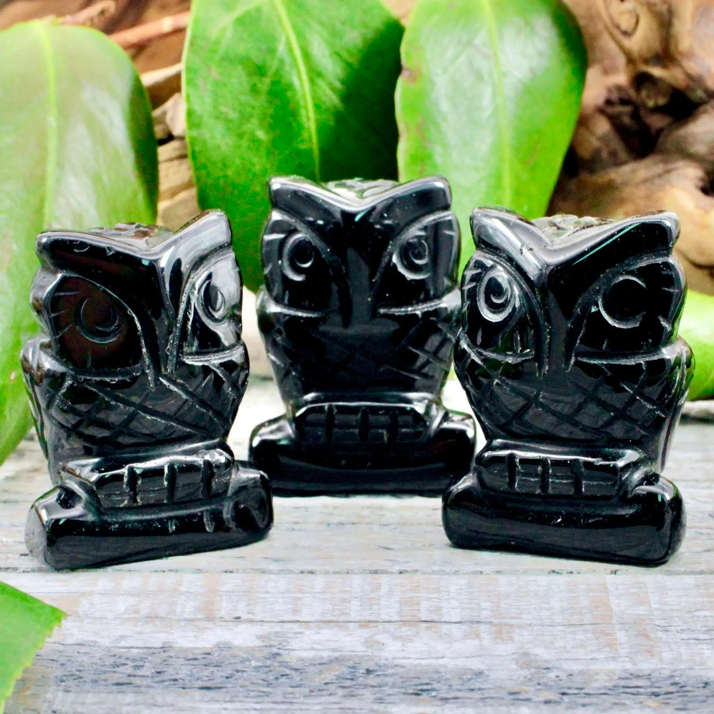 Obsidian Owl