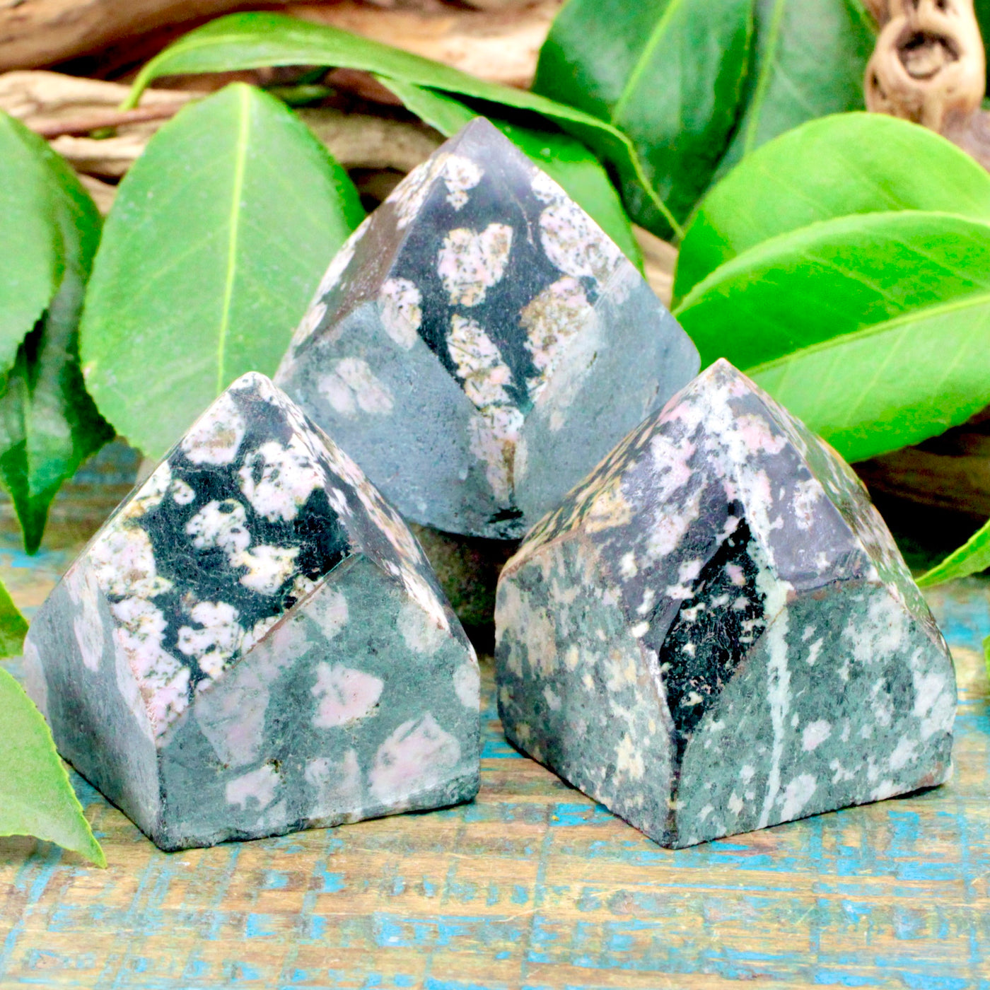 Black Jade Power Point