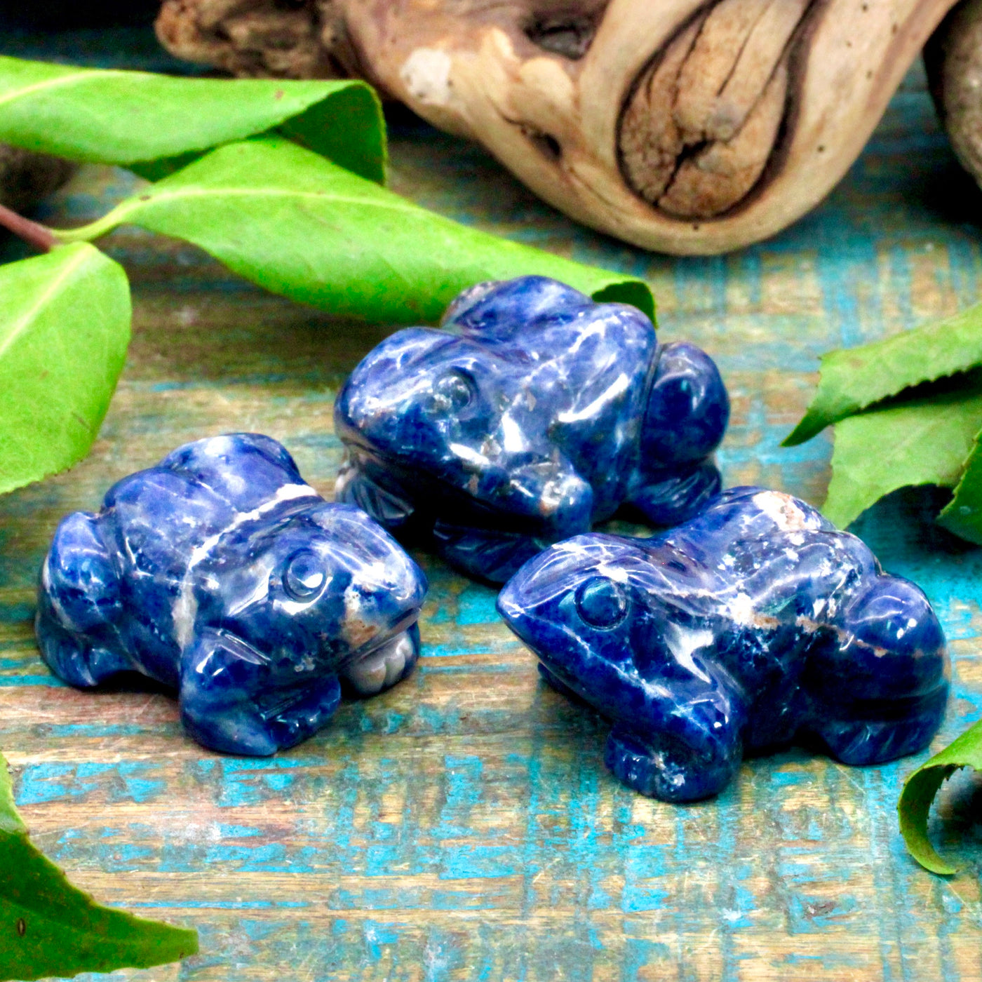 Sodalite Frog