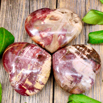 Petrified Wood Heart