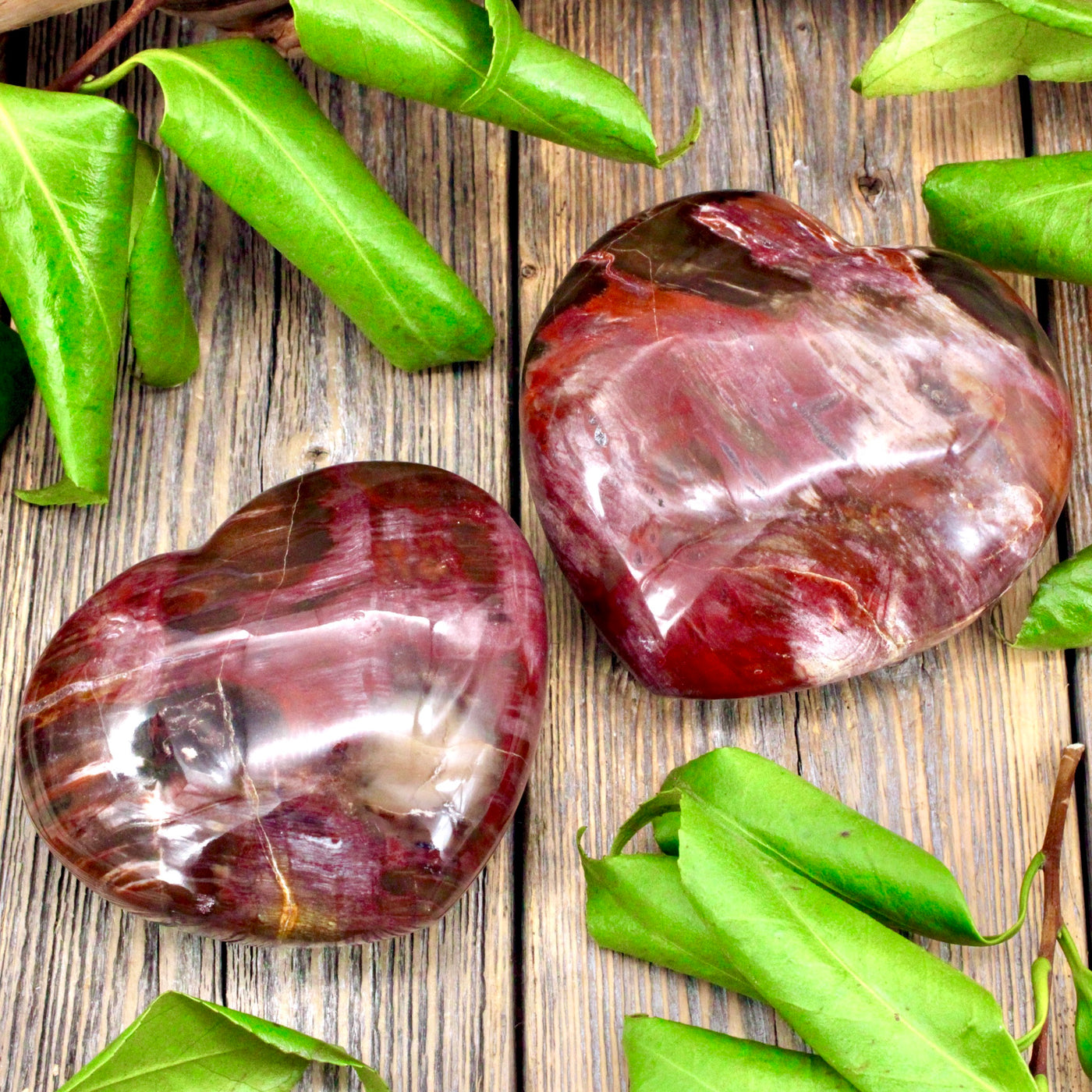 Petrified Wood Heart