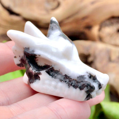 Zebra Jasper Dragon Skull