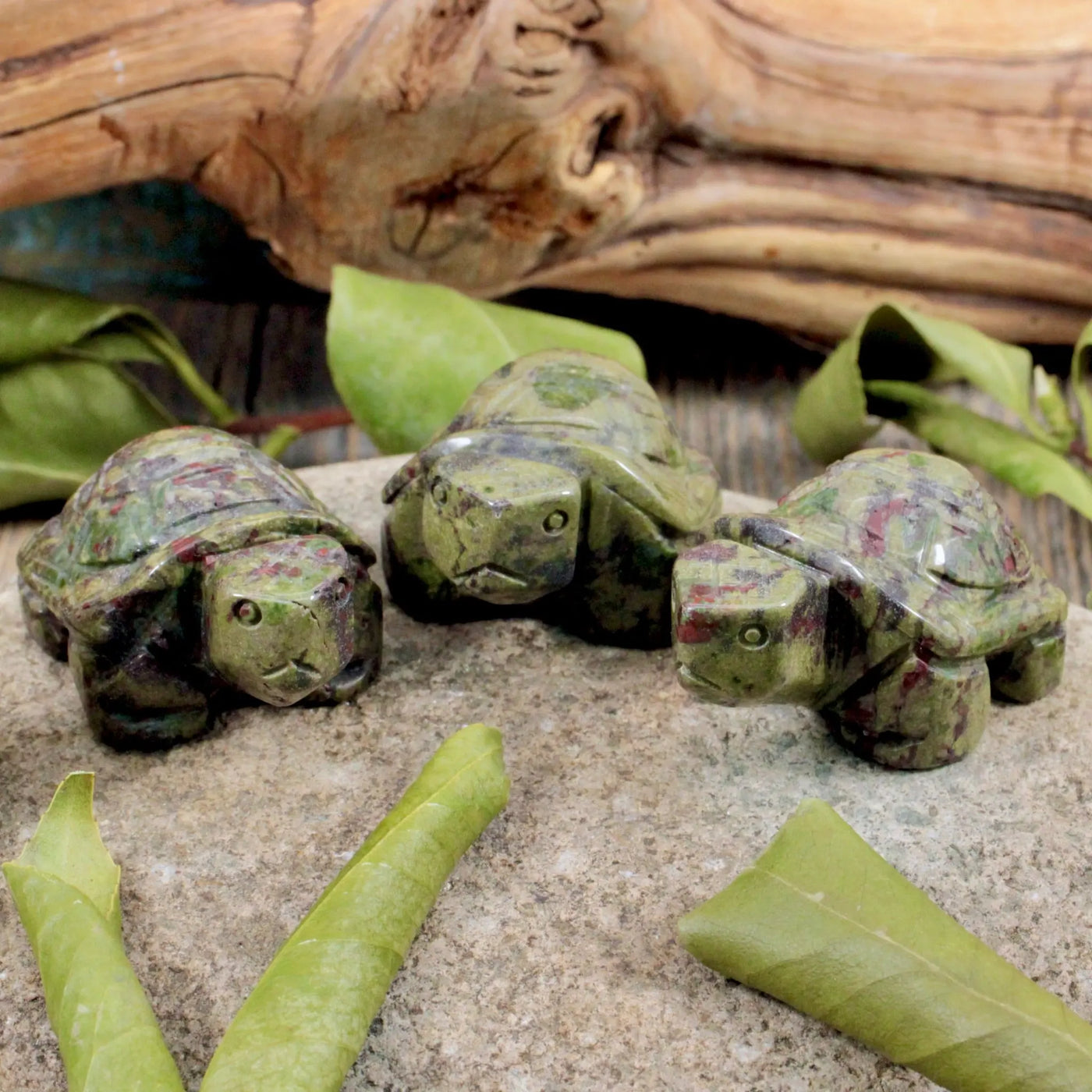 Dragon's Blood Jasper Turtle