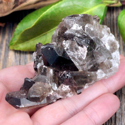 Smoky Quartz Cluster