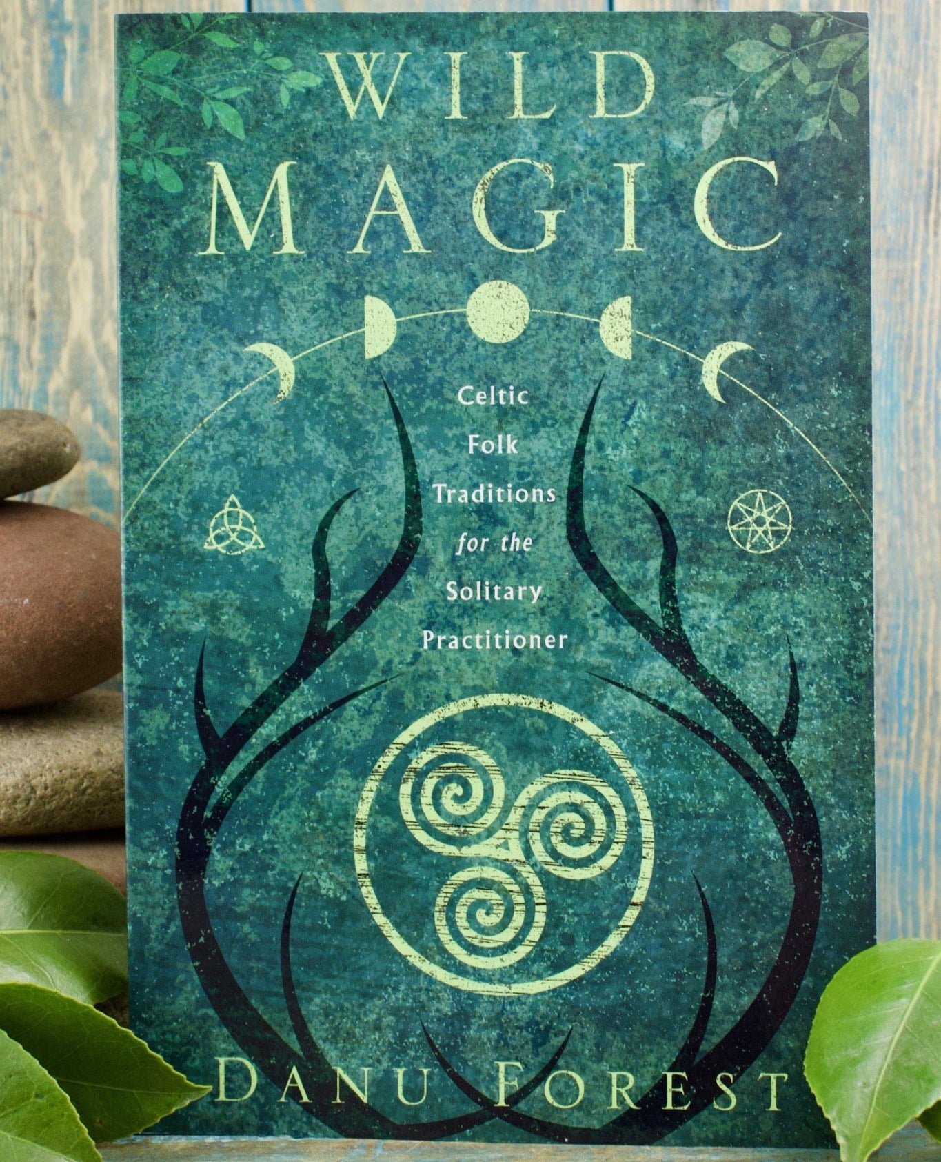 Wild Magic: Celtic Folk Traditions for the Solitary Practitioner